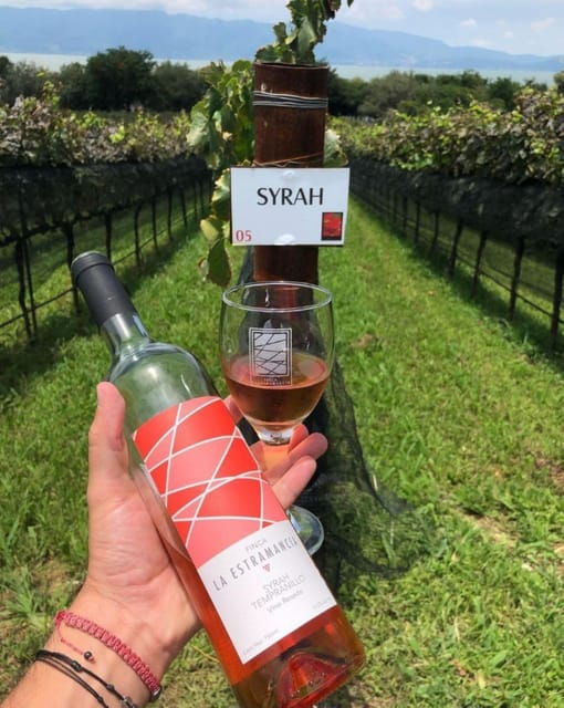 Chalapa: Vineyards Tour - Wine Tasting