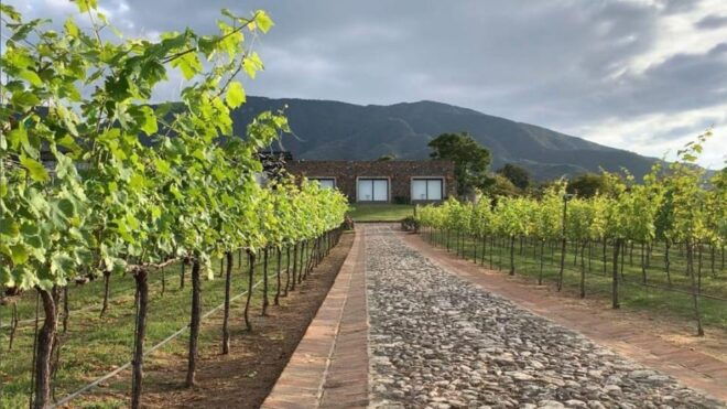 Chalapa: Vineyards Tour - Transportation and Pickup
