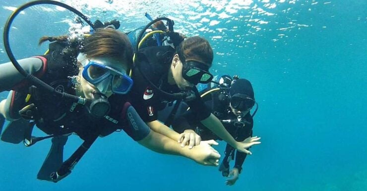 Chalkidiki: Scuba Diving for Beginners in Kassandra - Experience Highlights