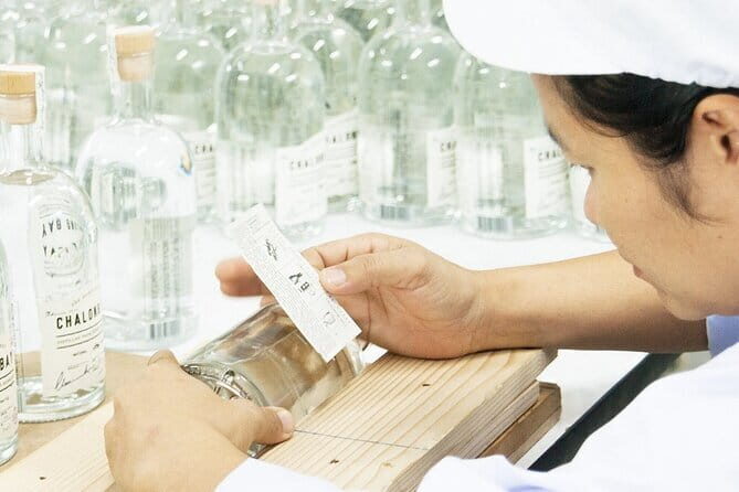 Chalong Bay Rum Distillery Experience - An In-Depth Look at the Chalong Bay Rum Distillery Experience