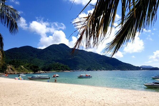 Cham Island Day Tour From Hoi an With Group Tour - The Sum Up