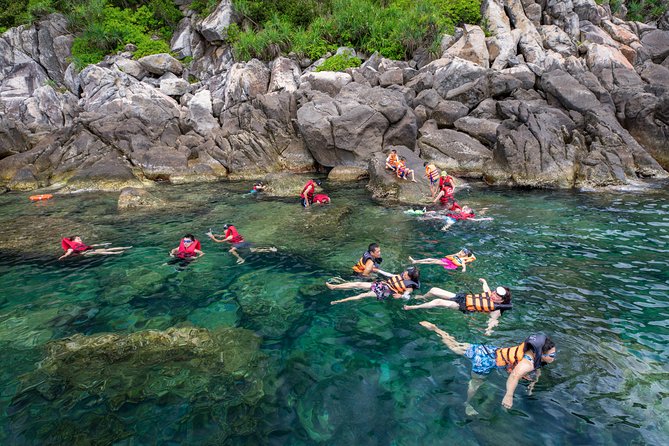 Cham Island Day Tour & Snorkeling From Da Nang With Group Tour - The Sum Up