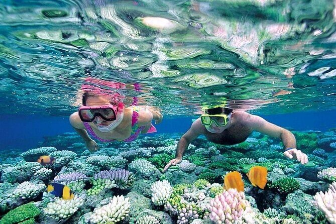 Cham Island Discovery: Snorkeling, Sightseeing & Seafood Set Menu - A Detailed Look at the Tour Experience