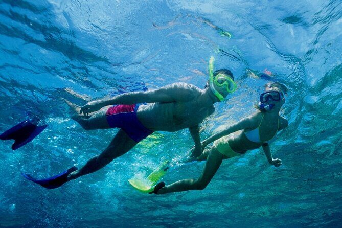 Cham Island Discovery: Snorkeling, Sightseeing & Seafood Set Menu - Why This Tour Works Well