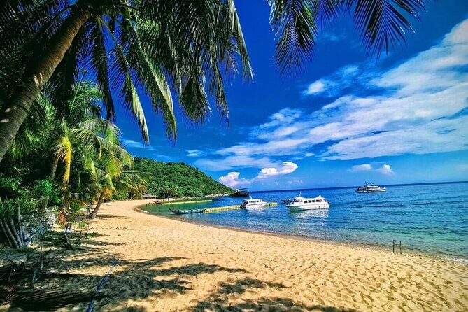 Cham Island Discovery: Snorkeling, Sightseeing & Seafood Set Menu - FAQs