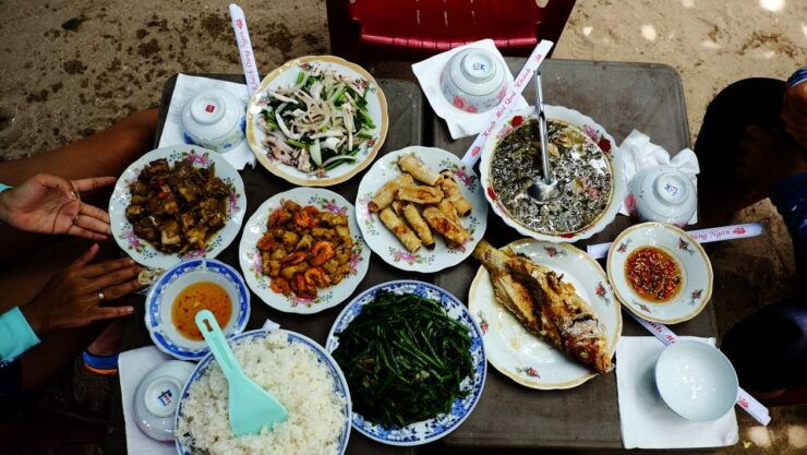 Cham Island Discovery Tour - Tour Highlights