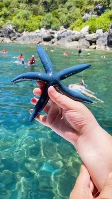 Cham Island: Experience Snorkeling and Lunch In A Day Tour - Good To Know