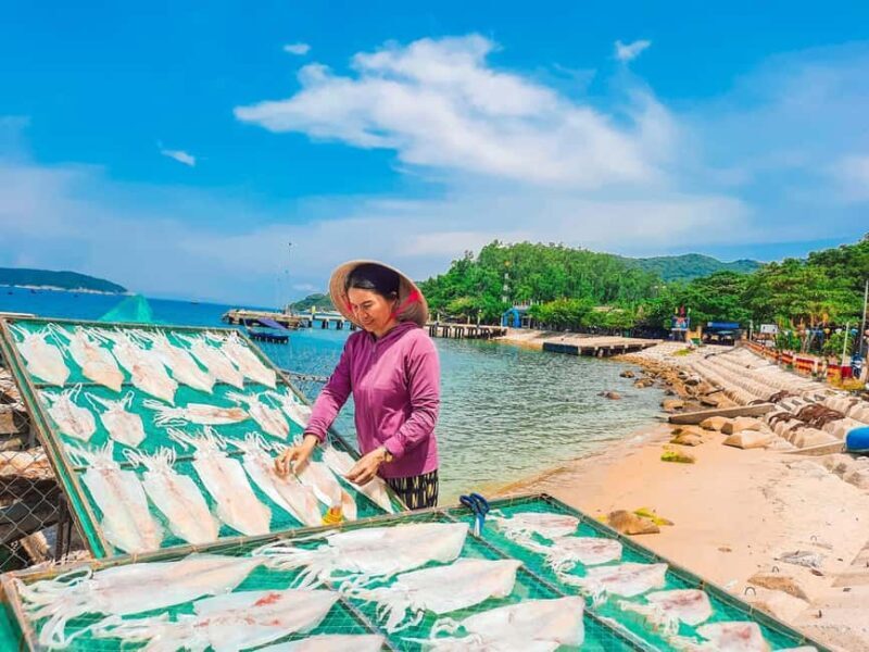 Cham Island: Experience Snorkeling and Lunch In A Day Tour - An Overview of the Tour Experience