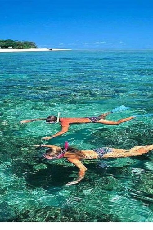 Cham Island on a Speedboat Snorkeling Tour From Da Nang - Itinerary Highlights