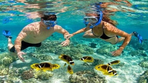 Cham Island on a Speedboat Snorkeling Tour From Da Nang - Travel Logistics