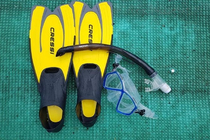 Cham Island Sea Trek and Snorkeling by Speedboat - Common Questions