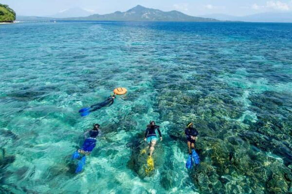 Cham Island: Sightseeing and Snorkeling Day Trip - Frequently Asked Questions