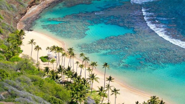 CHAM ISLAND SIGHTSEEING AND SNORKELING TOUR - Snorkeling Experience