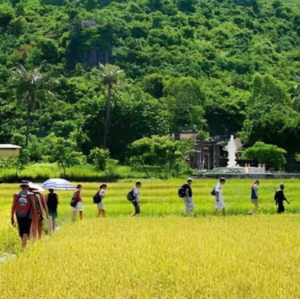 Cham Island Sightseeing & Snorkeling Excursion. - Frequently Asked Questions