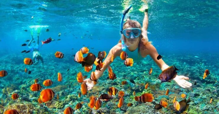 Cham Island Sightseeing & Snorkeling - Group Tour - Itinerary Details