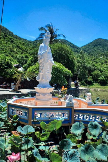 Cham Island Sightseeing & Snorkeling - Group Tour - Pricing and Booking Information