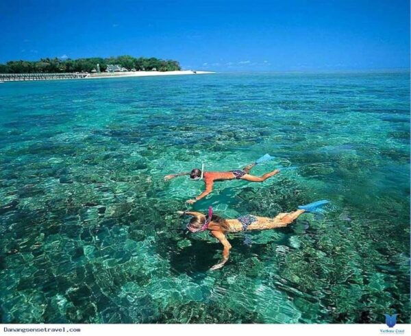 Cham Island Sightseeing &Snorkeling Tour From Hoi An/Da Nang - Extra Charges and Fees