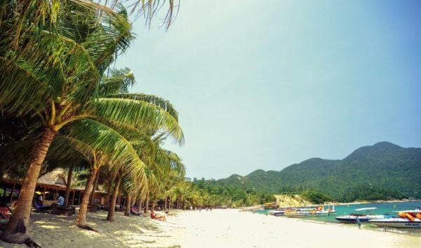 Cham Island Sightseeing & Snorkeling Tour From Hoi An/Danang - The Sum Up