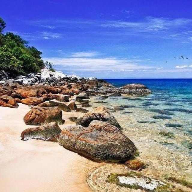 Cham Island Snorkeling and Sightseeing Tour - Activities on Cham Island