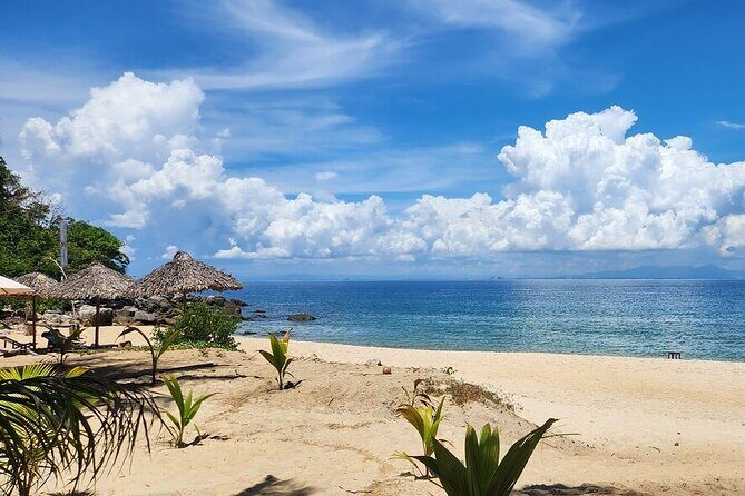 Cham Island Snorkeling Day Trip Explore from Hoi An or Da Nang - What Travelers Say About This Tour