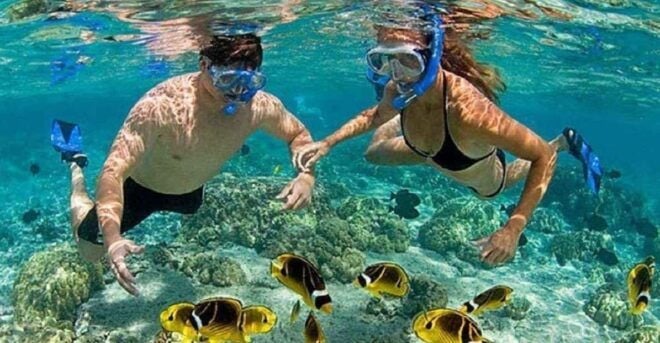 Cham Island: Snorkeling Experience From Danang - Highlights and Experiences
