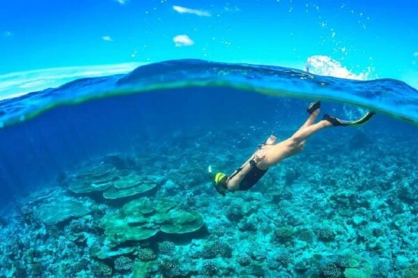 Cham Island: Snorkeling Experience From Danang - Local Cuisine to Try