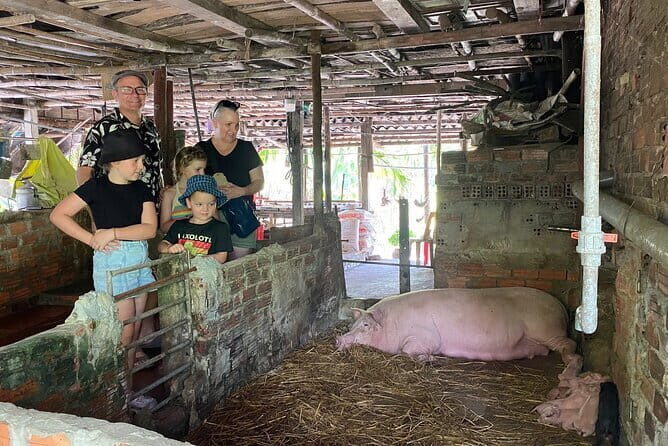 Cham Island Snorkeling Private Tour (Only Snorkeling & Beach) - The Sum Up: Is This Tour for You?