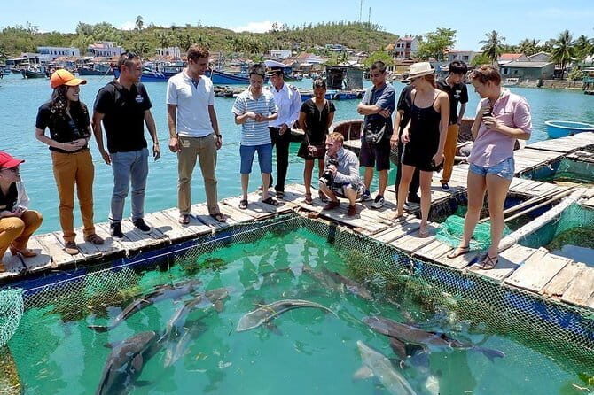 Cham Island Snorkeling Private Tour (Only Snorkeling & Beach) - An Authentic Day on Cham Island