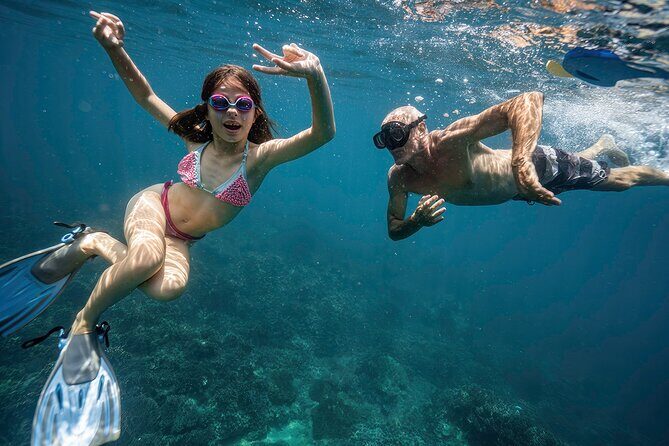 Cham Island Snorkeling: Top Day Trip from Hoi An or Da Nang - Good To Know