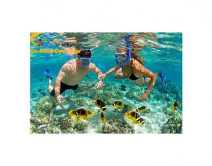 Cham Island: Snorkeling Tour by Speed Boat 1-Day With Lunch - Tour Overview