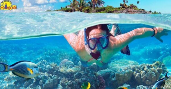 Cham Island: Snorkeling Tour by Speed Boat 1-Day With Lunch - Tips for Enjoying Your Tour