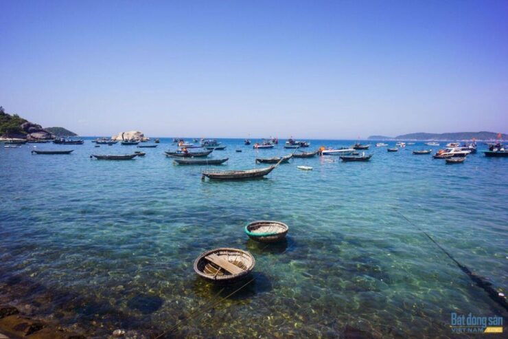 Cham Island Snorkeling Tour by Speed Boat From Hoi An/Danang - Tour Highlights
