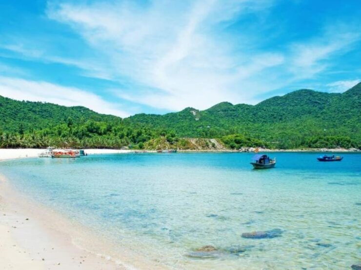 Cham Island Snorkeling Tour With Lunch - Pickup and Meeting Details