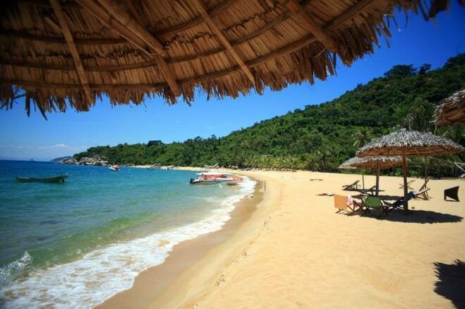 Cham Island Snorkeling Tour With Lunch - Snorkeling Adventure Highlights