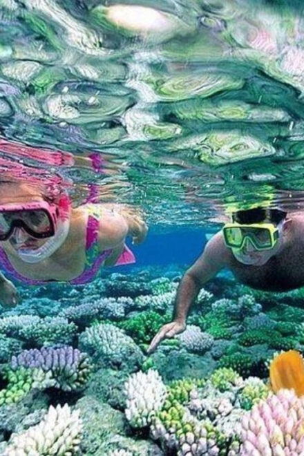 Cham Island Snorkeling Tour With Lunch - Essential Items to Bring