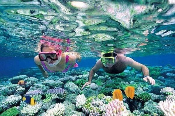 Cham Island Snorkeling Tour With Lunch - Safety and Health Considerations