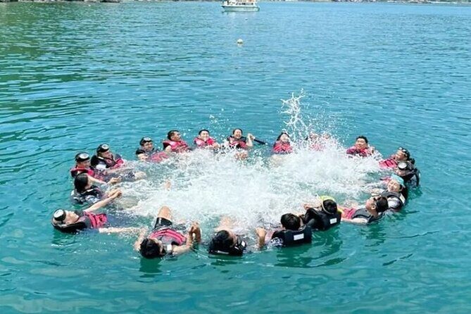 Cham Island Snorkeling Tour with Seafood Lunch Daily tour - Good To Know