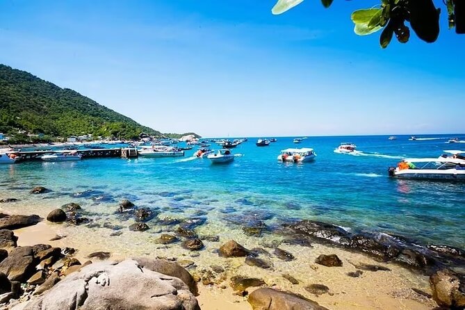 Cham Island Snorkeling,Beach Tour (Hoi An Viet Nam) - Meeting and Pickup Details