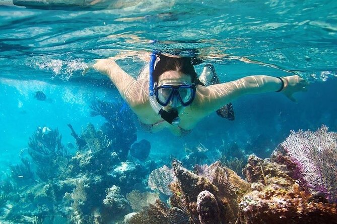 Cham Island Tour Snorkeling -Sunbathing - Nice Beach - Speedboat - Select Date and Travelers