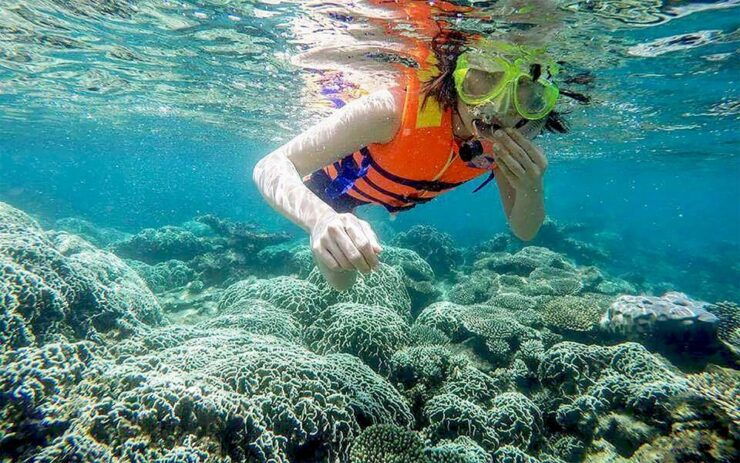 Cham Island Tour With Snorkeling Fun: From Da Nang or Hoi an - Snorkeling Experience