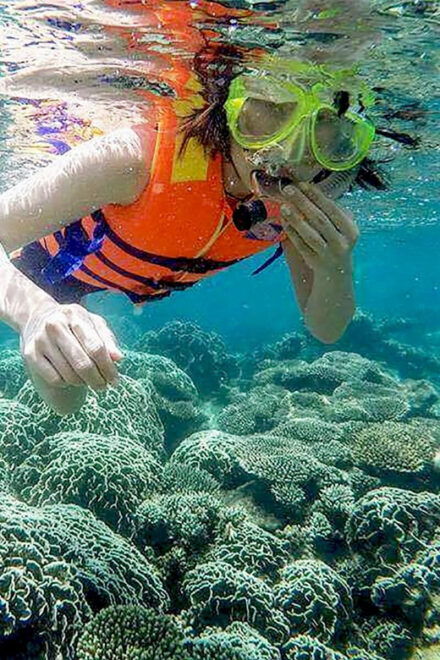 Cham Island Tour With Snorkeling Fun: From Da Nang or Hoi an - What to Bring