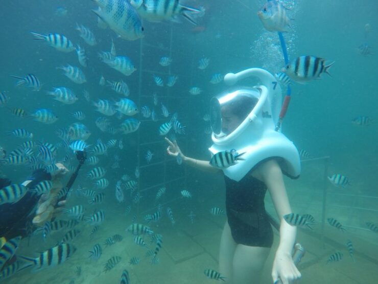 Cham Island: Underwater Walking & Snorkeling Tour - Activity Details and Logistics