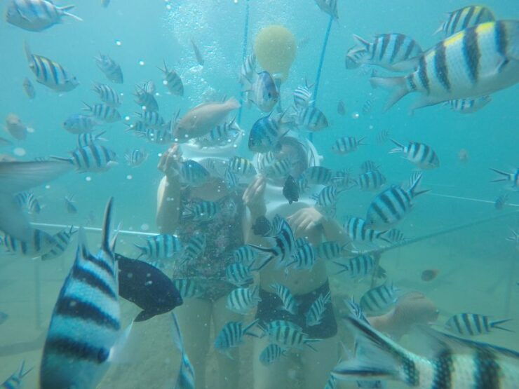Cham Island: Underwater Walking & Snorkeling Tour - Experience Highlights