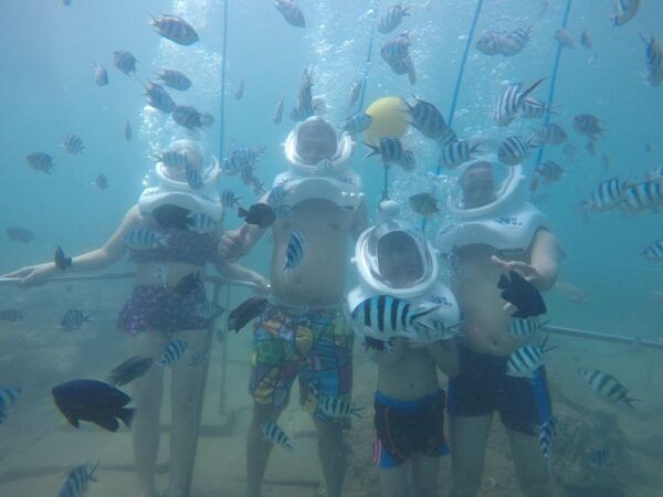 Cham Island: Underwater Walking & Snorkeling Tour - Location and Things to Do in Hoi An