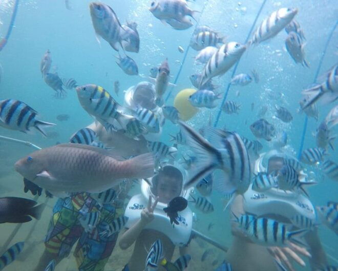 Cham Islands: Experience Underwater Snorkeling Excursion - Snorkeling Gear and Safety