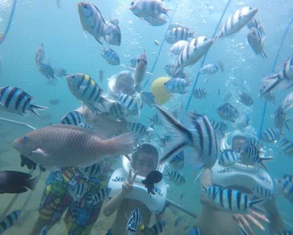 Cham Islands: Experience Underwater Snorkeling Excursion - Scenic Boat Cruise
