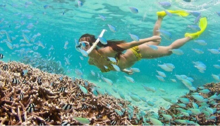 Cham Islands Snorkeling Tour by High-Speed Boat From Hoi an - Tour Duration & Timing