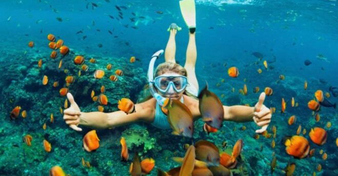Cham Islands Snorkeling Tour by High-Speed Boat From Hoi an - Important Information