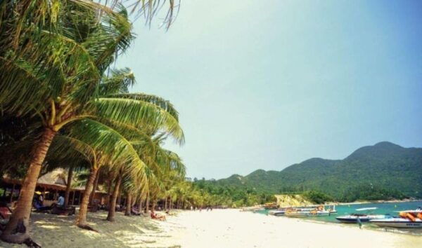 Cham Islands Snorkeling Tour by Speedboat : Hoi An / Da Nang - Nearby Attractions to Explore