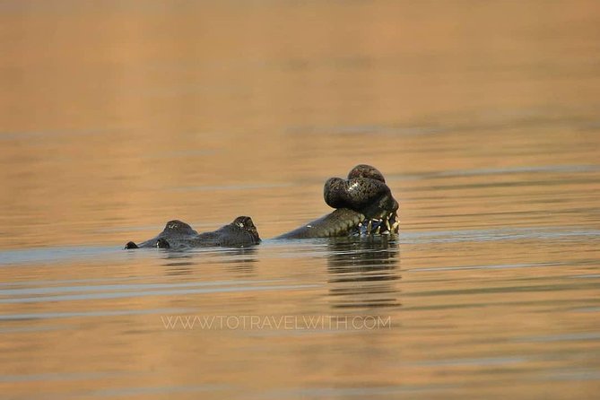 Chambal River Safari - Logistics